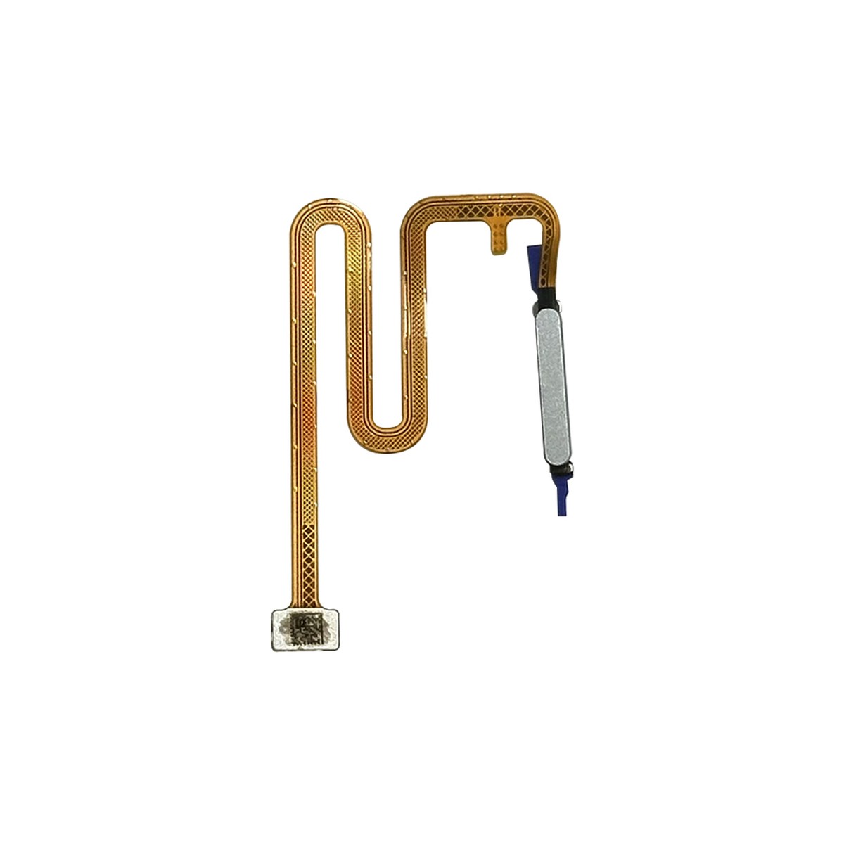 Flex de sensor de huellas para Galaxy A06 5G, A066 / 2025 / White