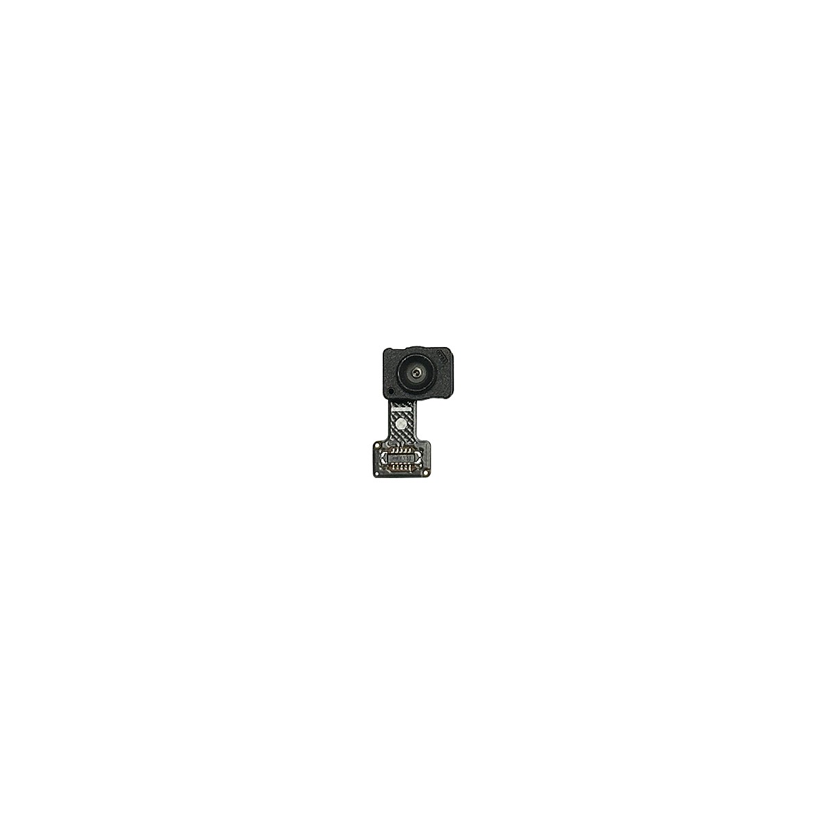 Flex de sensor de huellas para Galaxy S24 FE 5G (S721)
