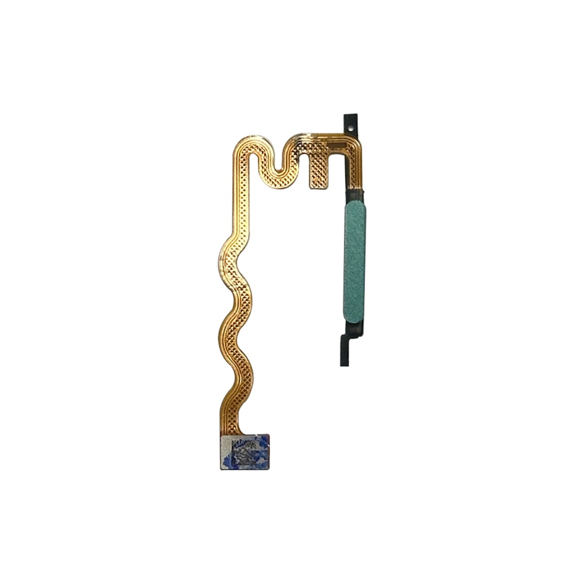 Flex de sensor de huellas para Moto G04 (XT2421), Sea Green