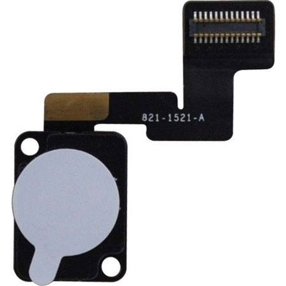 Cámara trasera para iPad Air 1 / Mini 1 / Mini 2 / Mini 3