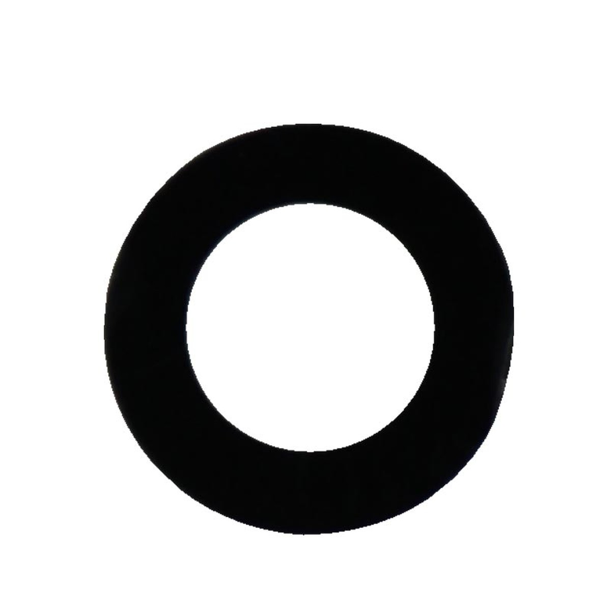 Lente de cámara trasera para iPad Mini 5