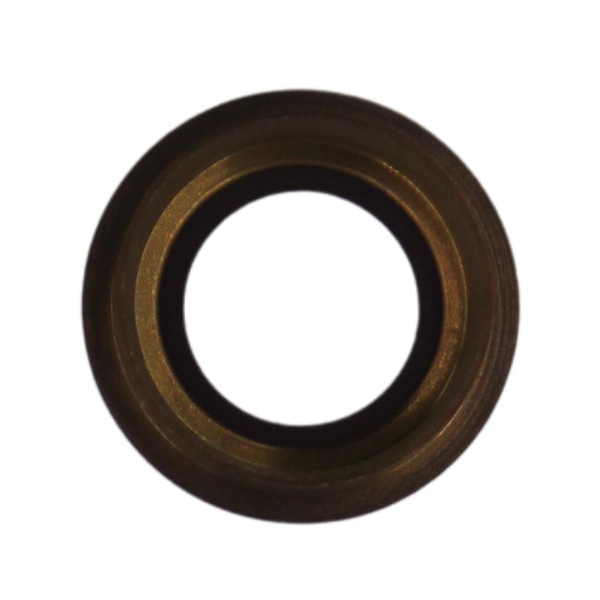 Lente de cámara trasera para iPad Pro 12.9 2nd Gen, Gold — imagen 2
