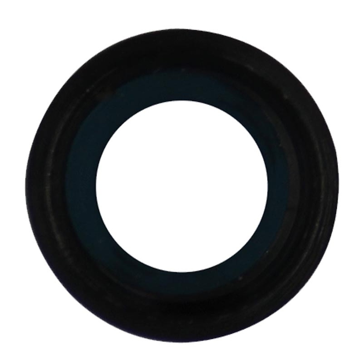 Lente de cámara trasera para iPad Pro 9.7, Black
